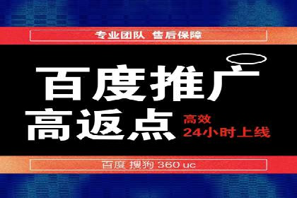 百度推广代运营案例：案例分享：打造行业领军品牌